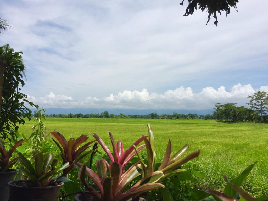 Oui Kaew Homestay Phayao Eksteriør bilde