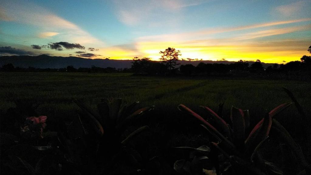 Oui Kaew Homestay Phayao Eksteriør bilde